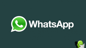 logo-text-hor-color