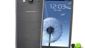 s3grey_sc