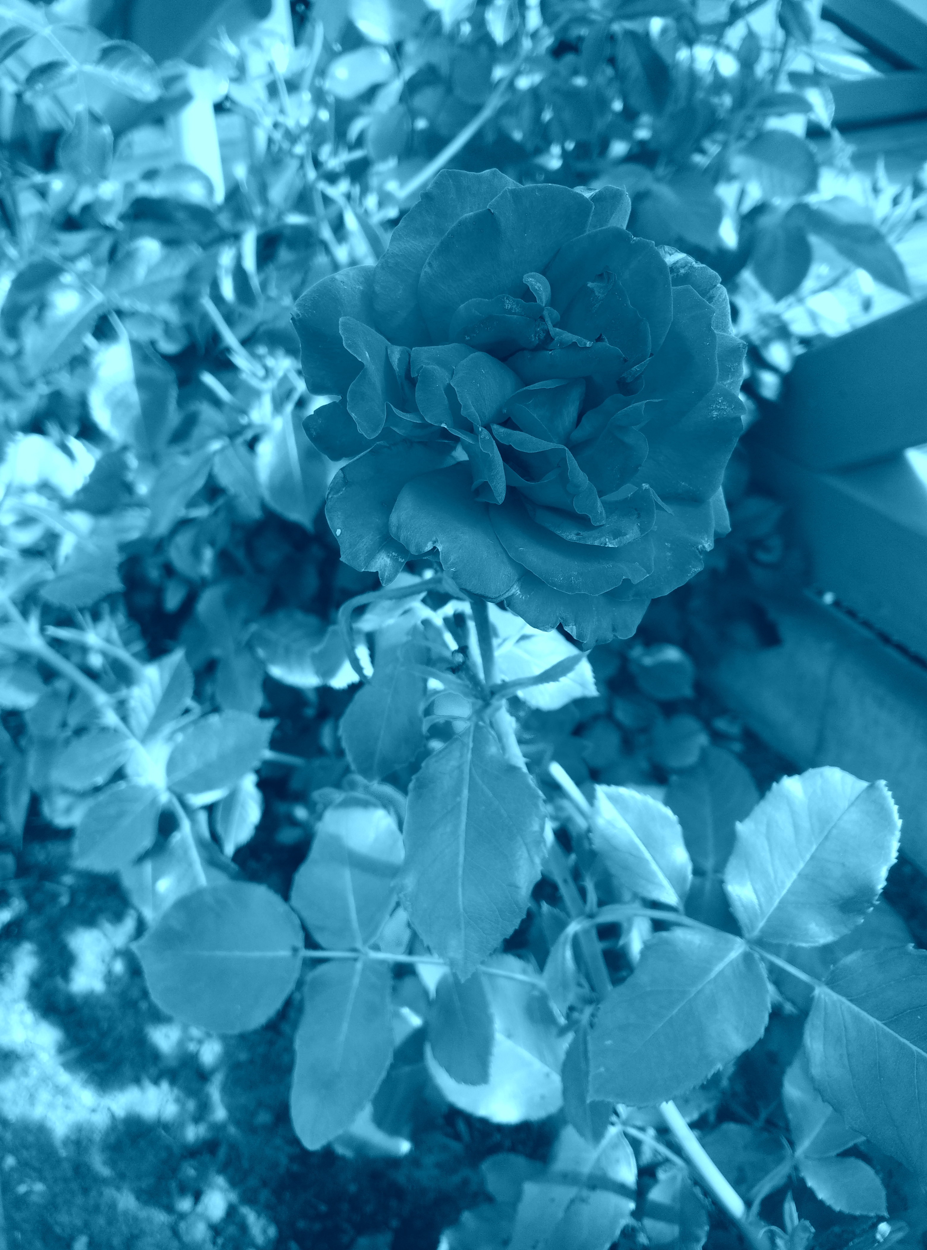 2014-07-24 11.12.59