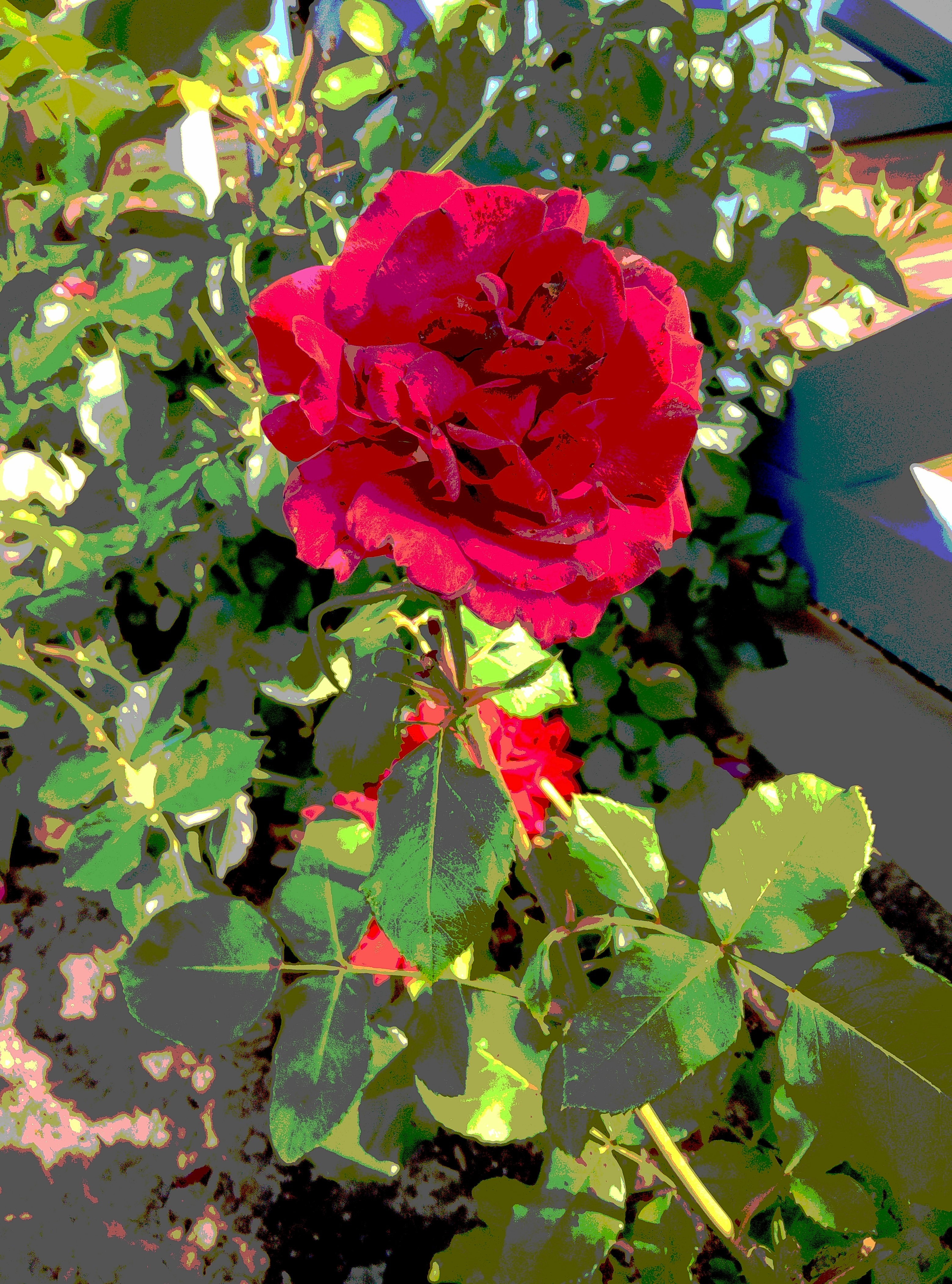 2014-07-24 11.13.09