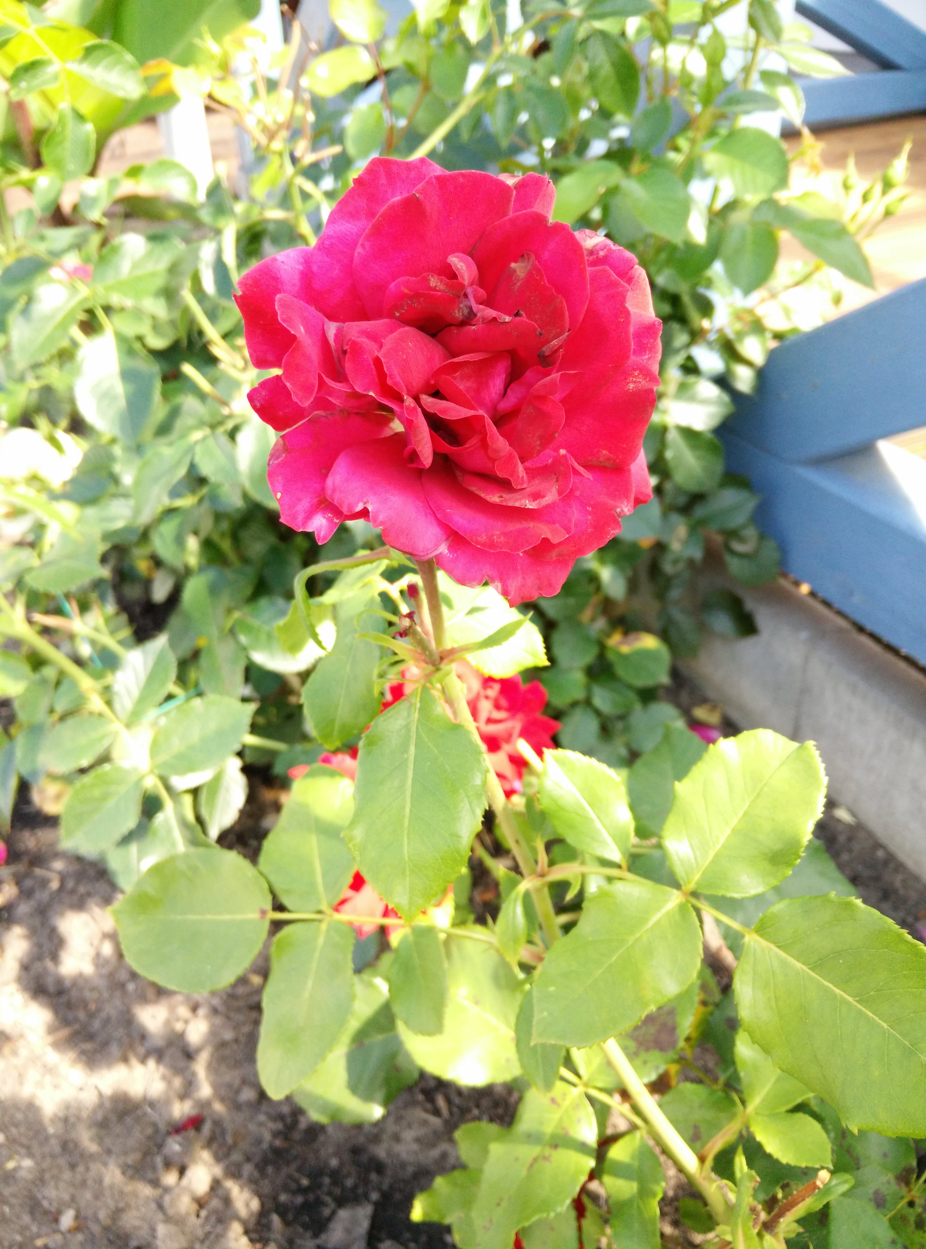 2014-07-24 11.13.21